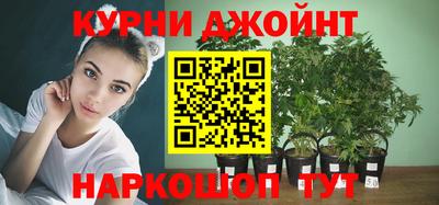 a pvp Будённовск